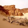 DAHAB-CLUB в лицах » Новый год 2009