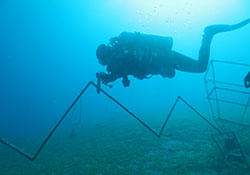 Подводный полигон в Дахабе